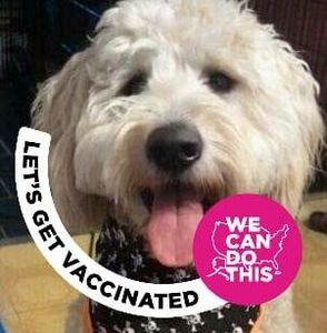 Meet your Posher, Janice